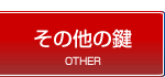 �X�[�c�P�[�X�E���̌��g���u��